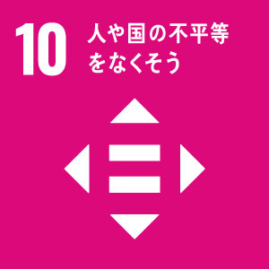 国内および国家間の格差を是正する